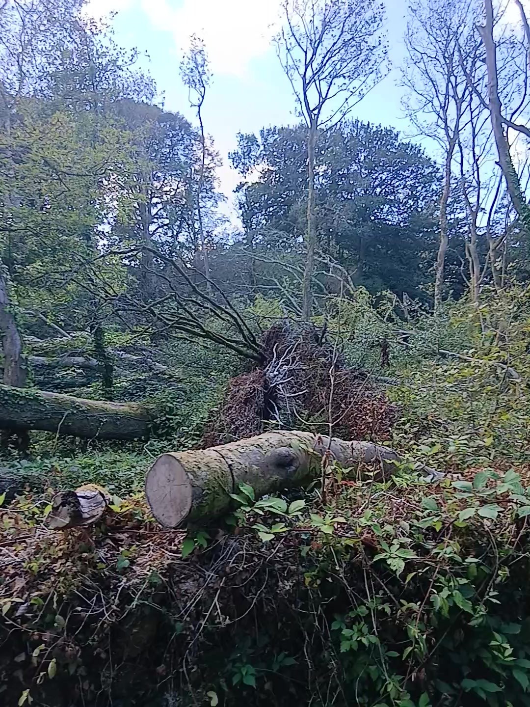 Cut sections at a failure site