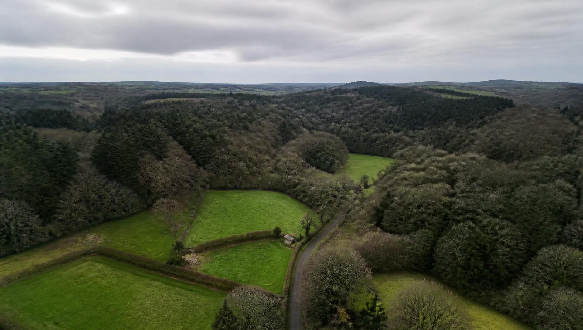 Aerial view of woodland and small fields in the Carwynnen and Troon area of Cornwall